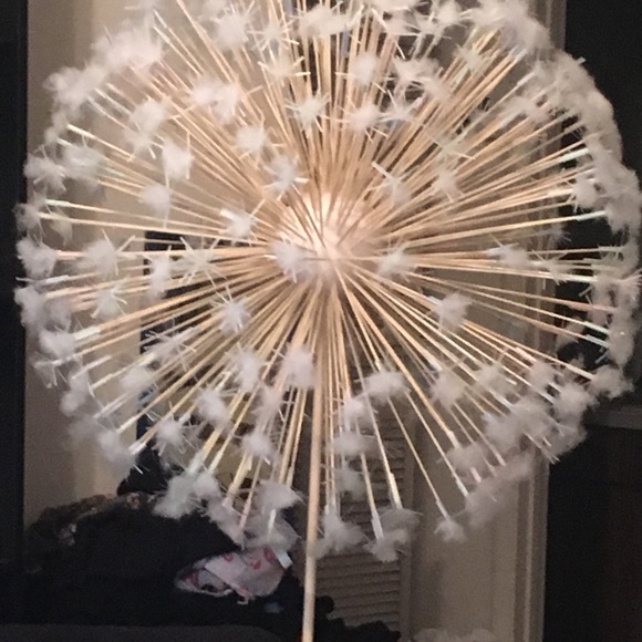 No Sale! - Picture 3 of 7